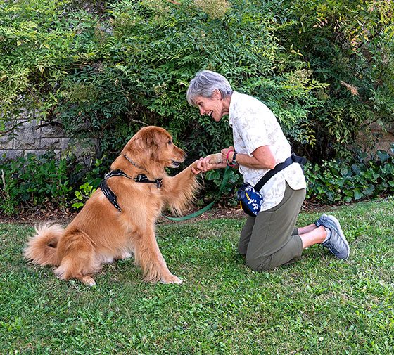 Athena training a dog